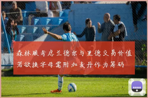 森林狼考虑兰德尔与里德交易价值若欲换字母需附加麦丹作为筹码