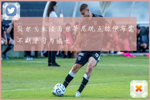 贝尔戈米谈马尔蒂尼观点称伊布需不断学习与成长